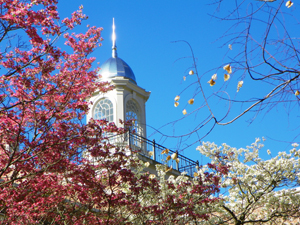 Park Hall Dome