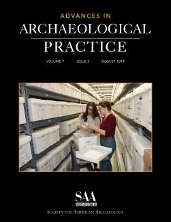 Nikki Vellidis Cover Advances in Archaeological Practice
